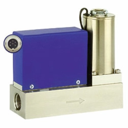 Masse Durchflussmessgerät WF 6500 Optionen